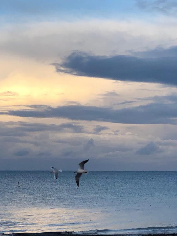 Le Spot, Appartement Spacieux A 30M De La Mer 45M2 Luc-sur-Mer Εξωτερικό φωτογραφία